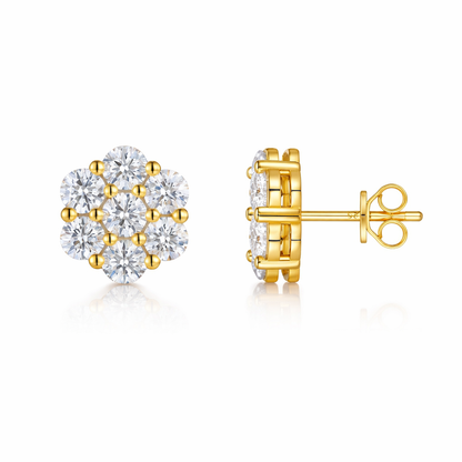 Earrings Light Luxury Jewelry Silver Stud Earrings S925 Silver Electroplated Gold