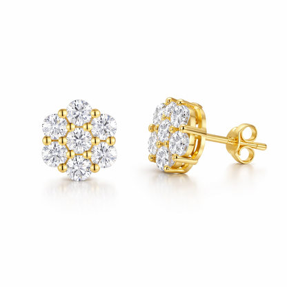 Earrings Light Luxury Jewelry Silver Stud Earrings S925 Silver Electroplated Gold