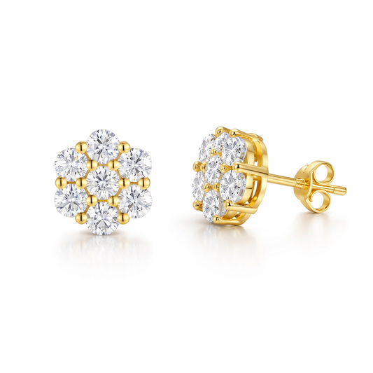 Earrings Light Luxury Jewelry Silver Stud Earrings S925 Silver Electroplated Gold